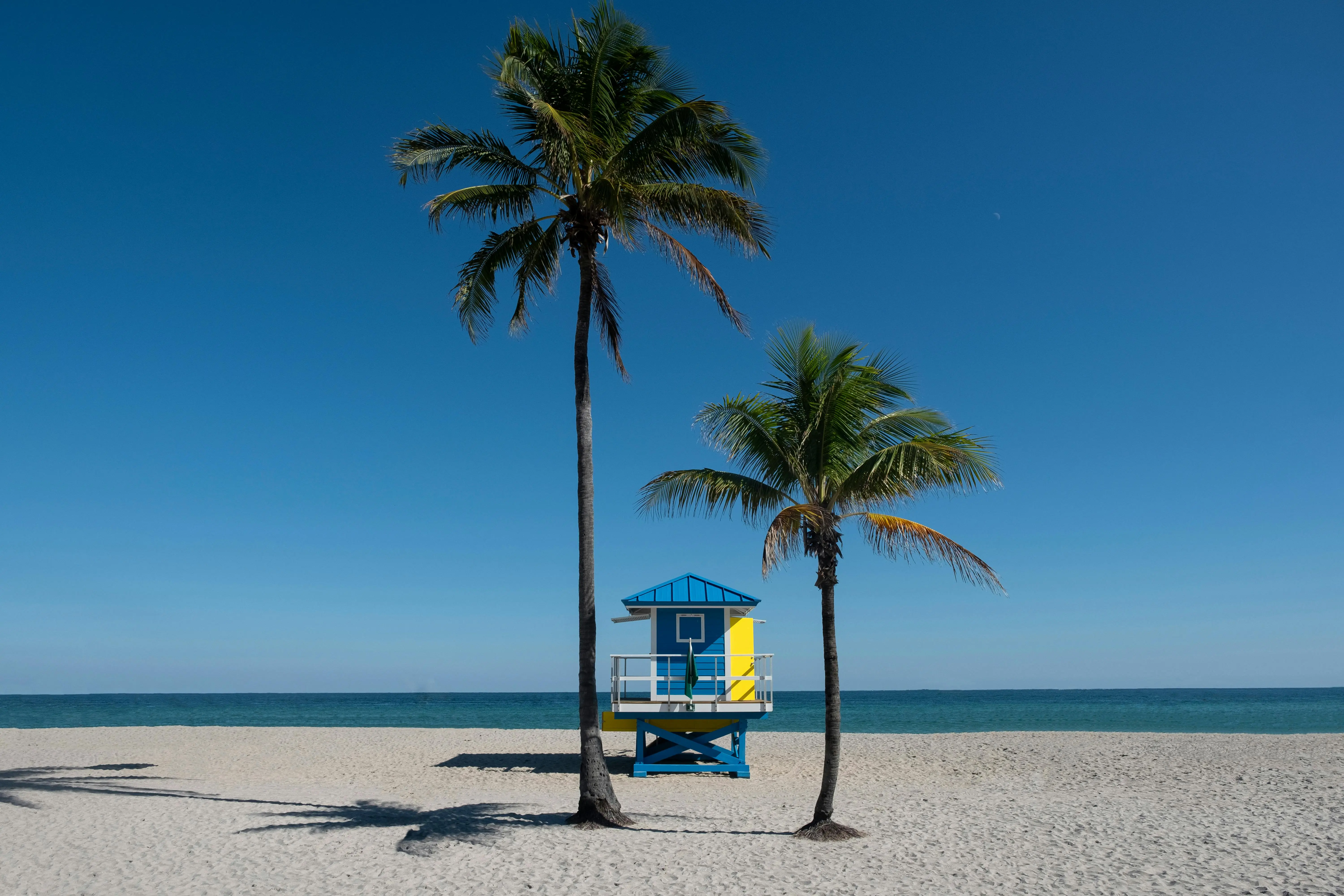 Top 7 Must-Visit Attractions in South Florida for Vacationers